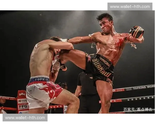 拳击台上的荣耀与传奇：播求的铁拳与库里巴利的坚韧，一场跨越时空的对话